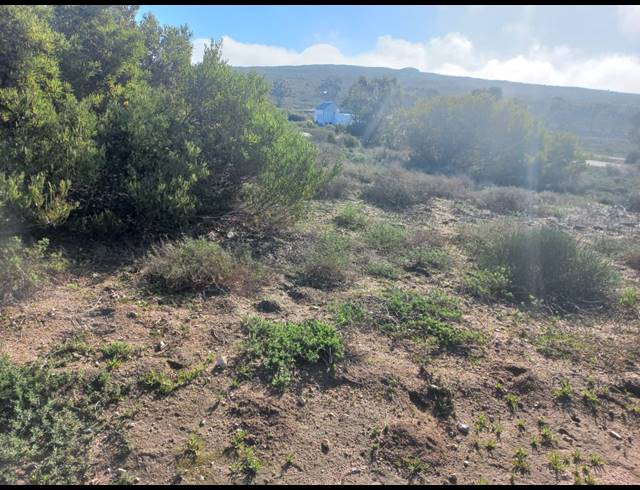 405M² VACANT LAND FOR SALE IN STEENBERGS COVE